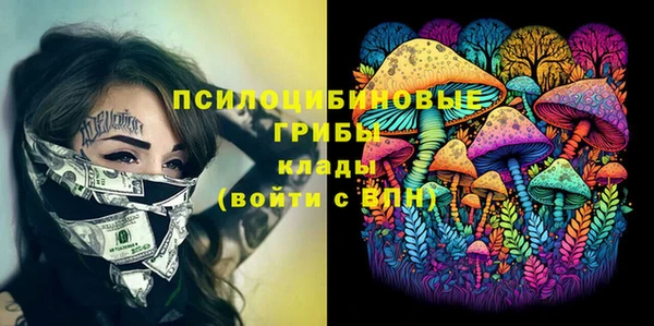 spice Алзамай
