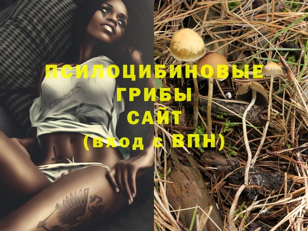 герыч Абинск