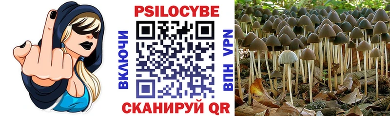 Галлюциногенные грибы Psilocybine cubensis  дарнет шоп  Скопин 