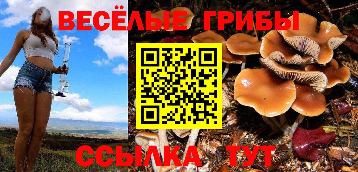 Псилоцибиновые грибы Magic Shrooms  Вход с VPN  Скопин 